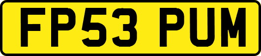 FP53PUM