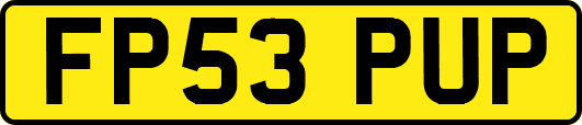 FP53PUP