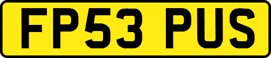 FP53PUS