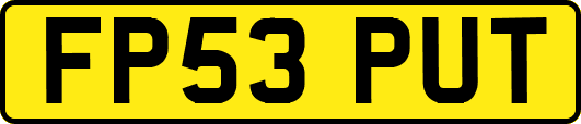 FP53PUT