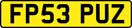 FP53PUZ