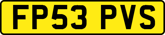 FP53PVS