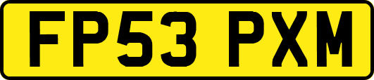 FP53PXM