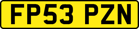 FP53PZN