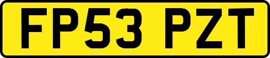 FP53PZT