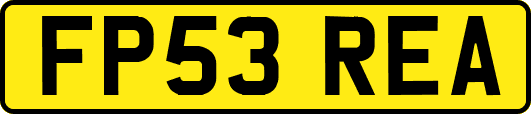 FP53REA
