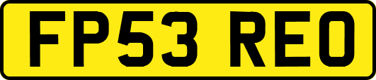 FP53REO