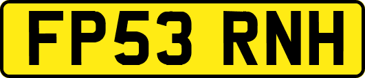 FP53RNH
