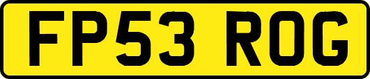 FP53ROG
