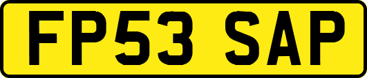 FP53SAP