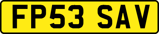 FP53SAV