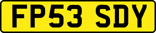 FP53SDY