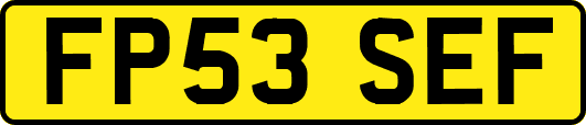 FP53SEF