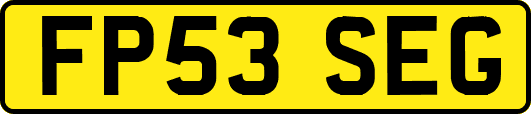 FP53SEG
