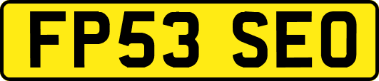 FP53SEO