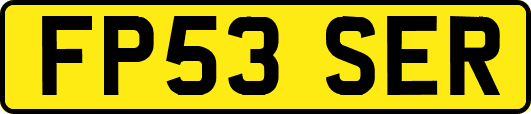 FP53SER
