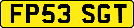 FP53SGT