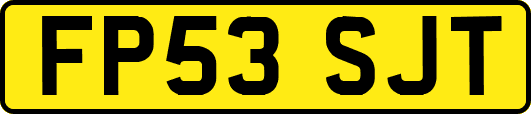 FP53SJT