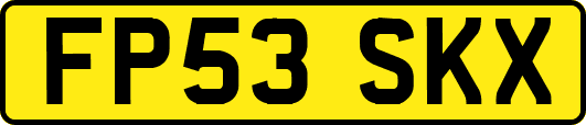 FP53SKX