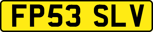 FP53SLV