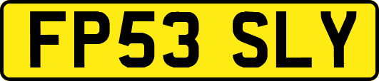 FP53SLY
