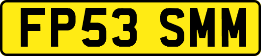 FP53SMM