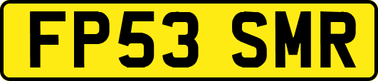 FP53SMR
