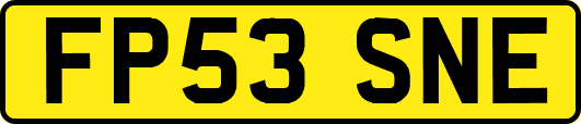 FP53SNE