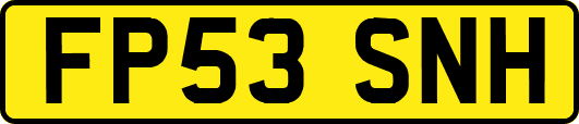 FP53SNH