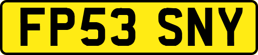 FP53SNY