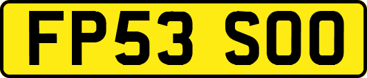 FP53SOO