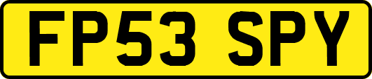 FP53SPY