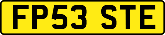 FP53STE