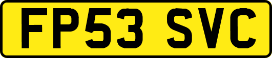 FP53SVC