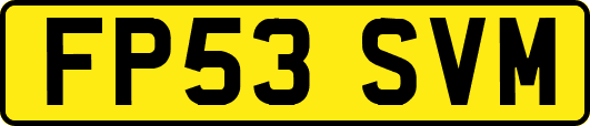 FP53SVM