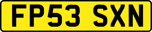 FP53SXN