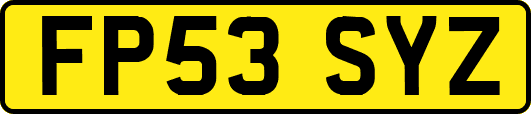 FP53SYZ