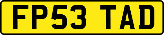 FP53TAD