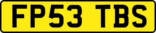 FP53TBS