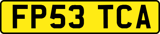 FP53TCA