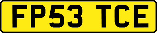 FP53TCE