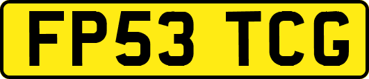 FP53TCG
