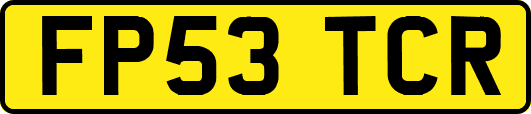 FP53TCR