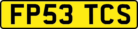 FP53TCS