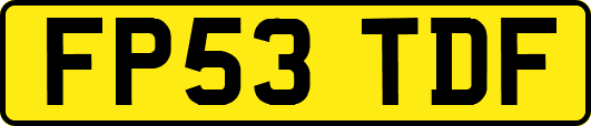 FP53TDF