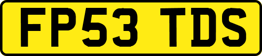 FP53TDS
