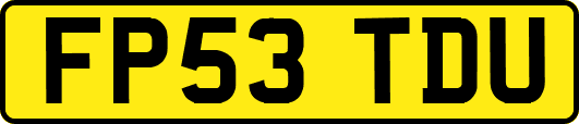 FP53TDU
