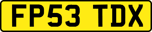 FP53TDX