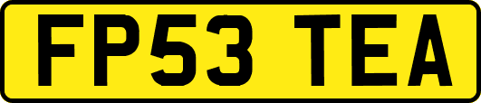 FP53TEA