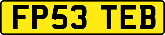 FP53TEB